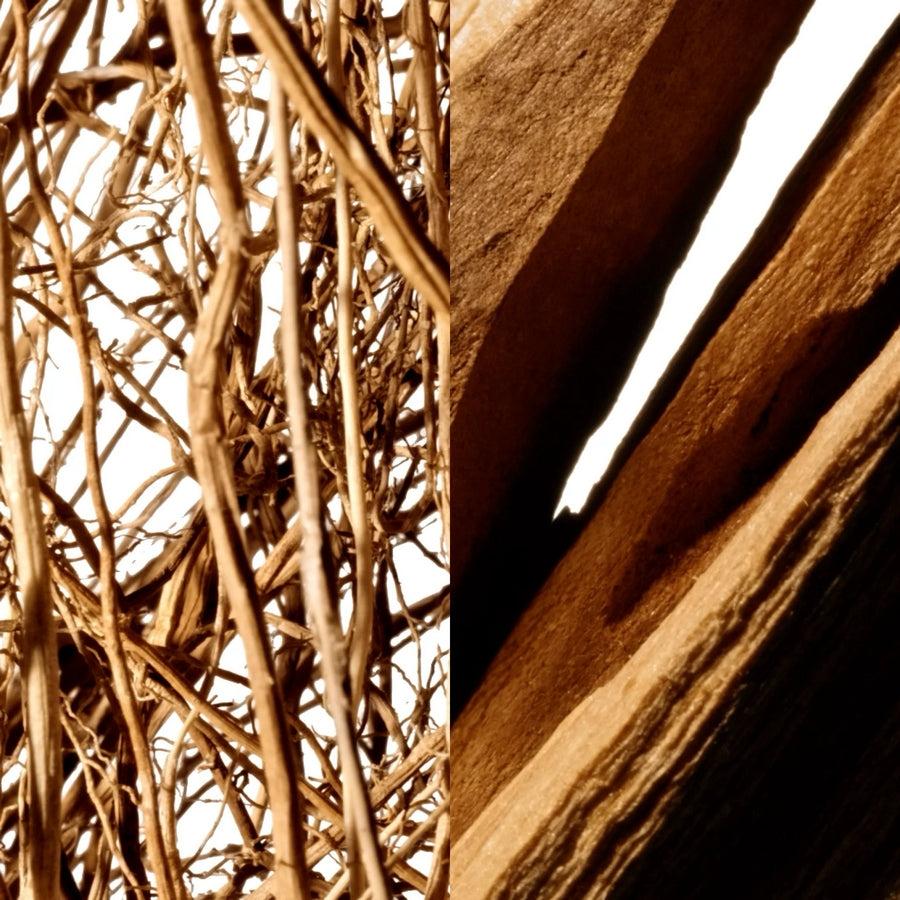 Montblanc Collection Vetiver Glacier Eau de Parfum