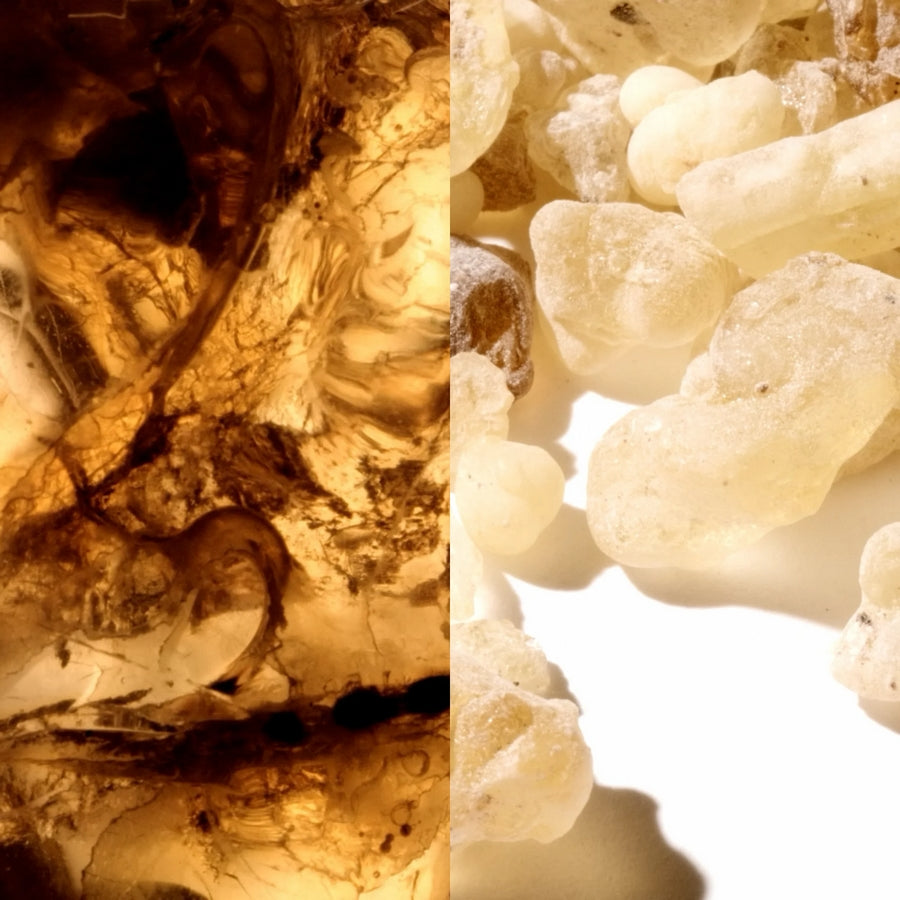 Montblanc Collection Black Meisterstück Eau de Parfum