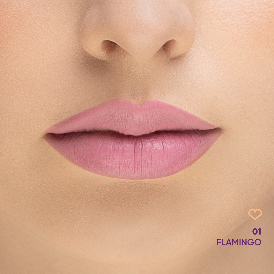 Lip-phoria Matt Liquid Lipstick