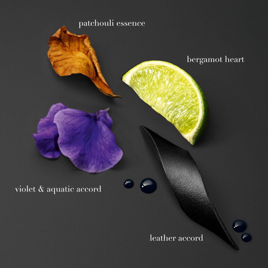 Acqua di Giò Elixir